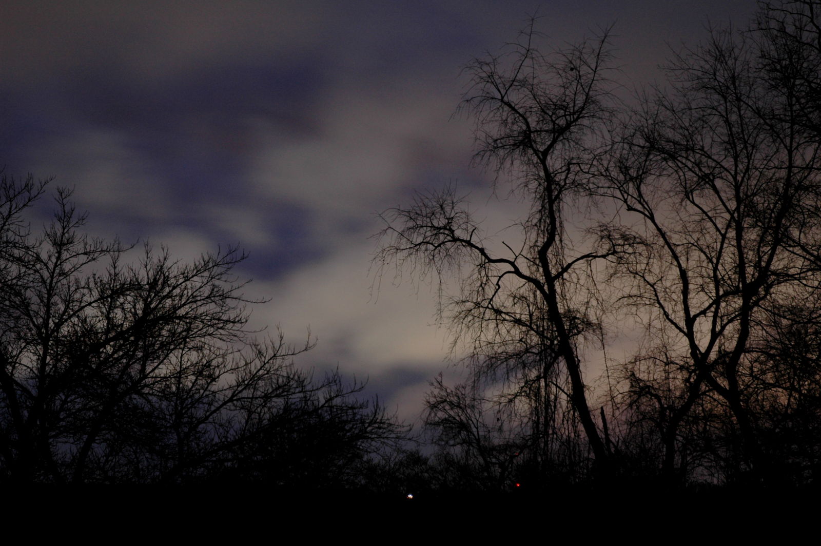 night sky with trees | asheville, nc