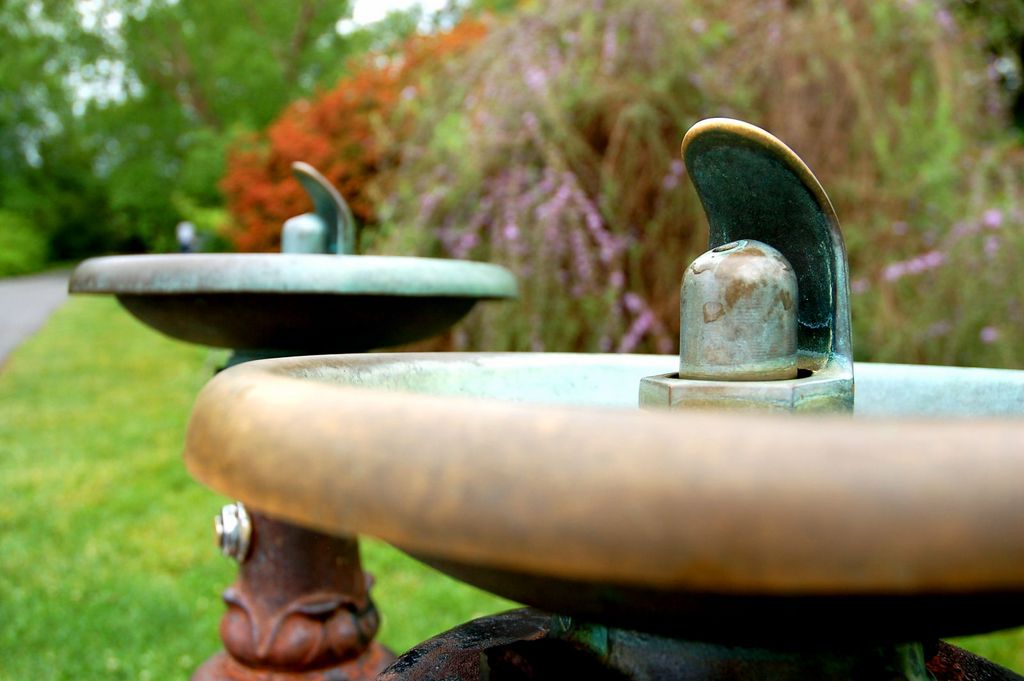 bubblers | asheville, nc